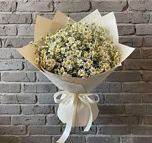 Букет цветов из:  Ромашки #REPLACE_PRED# Мелиховской