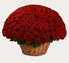 Премиум букет из: Розы #REPLACE_PRED# Мелиховской